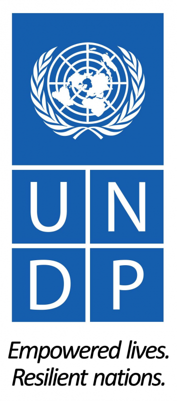 United Nation Development Programme Logo